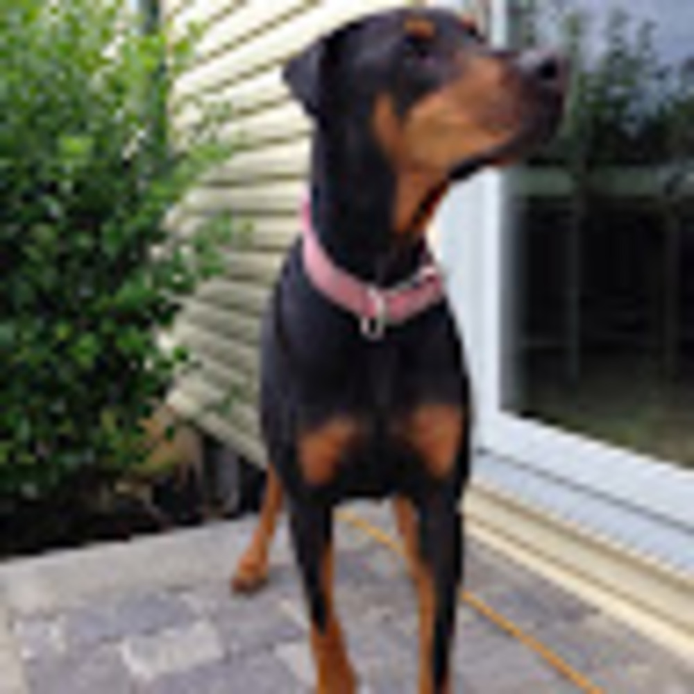 Meet your Posher, Kate